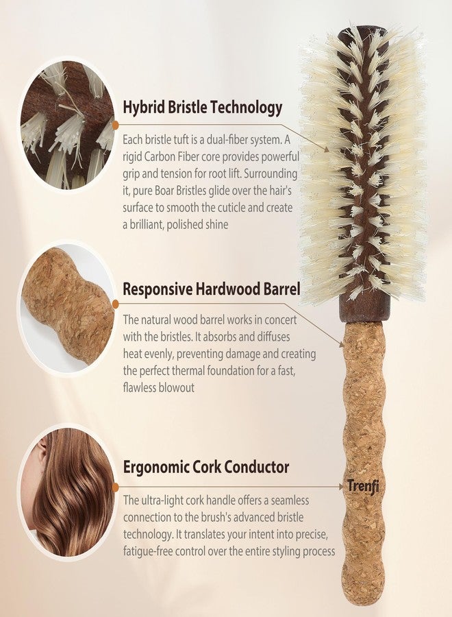TRENFI Professional Boar Bristle Round Brush for Blow Drying | 2.75" Large Volume Barrel | Ultra-Light Cork Handle | Volumizing & Smoothing Tool for Fine, Thin Hair | Salon Blowout Results - Image 2